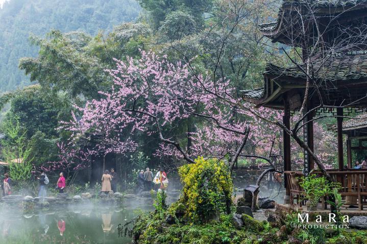 探索问答交流新时代-上升白羊座的童年经历平台
